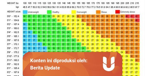 Body Mass Index dan Cara Perhitungannya | kumparan.com